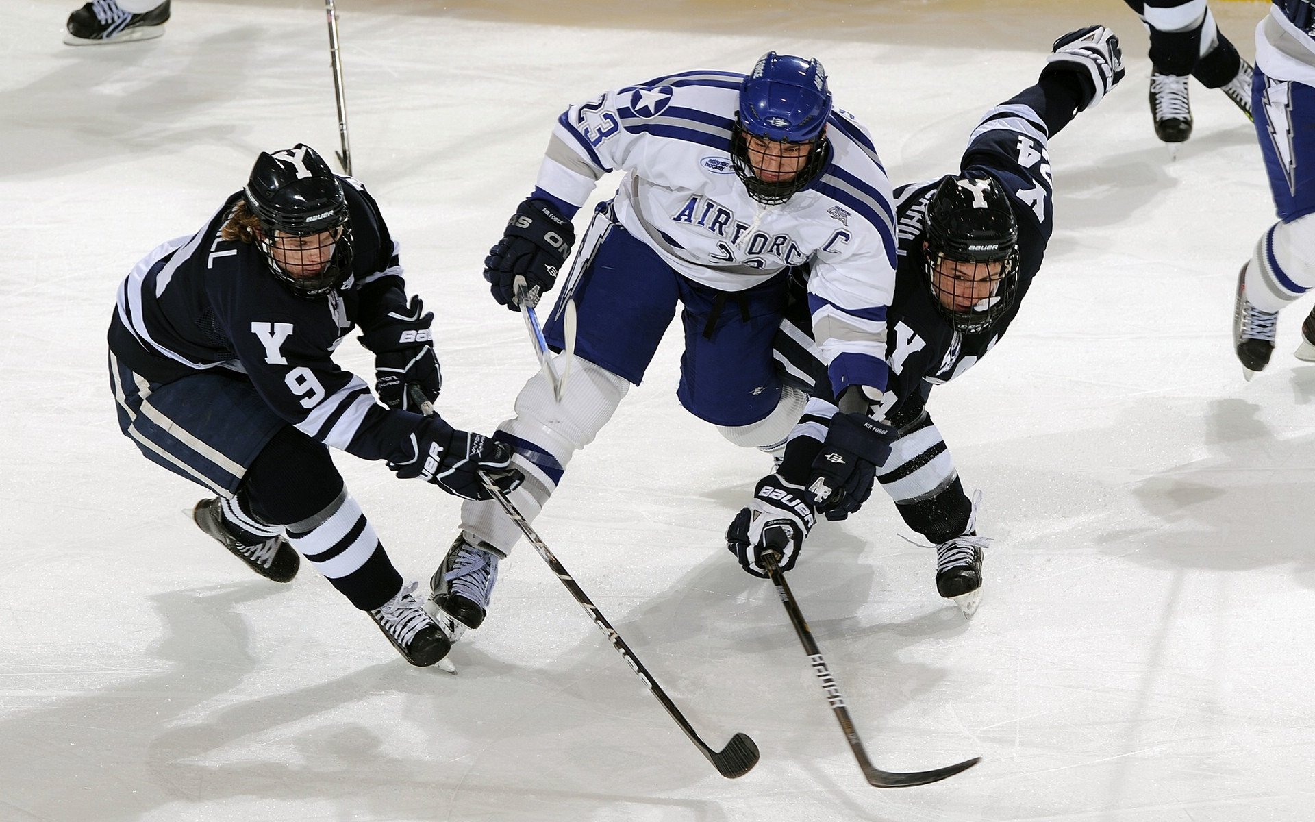 最受欢迎的赛道top10榜单出炉,最火赛道